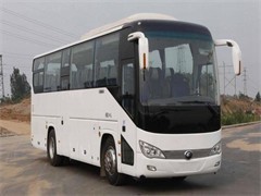 洛阳租客车